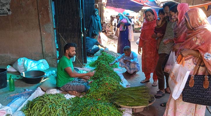 কাঁচা মরিচের কেজি উপজেলায় ১০, জেলায় ৬০ 